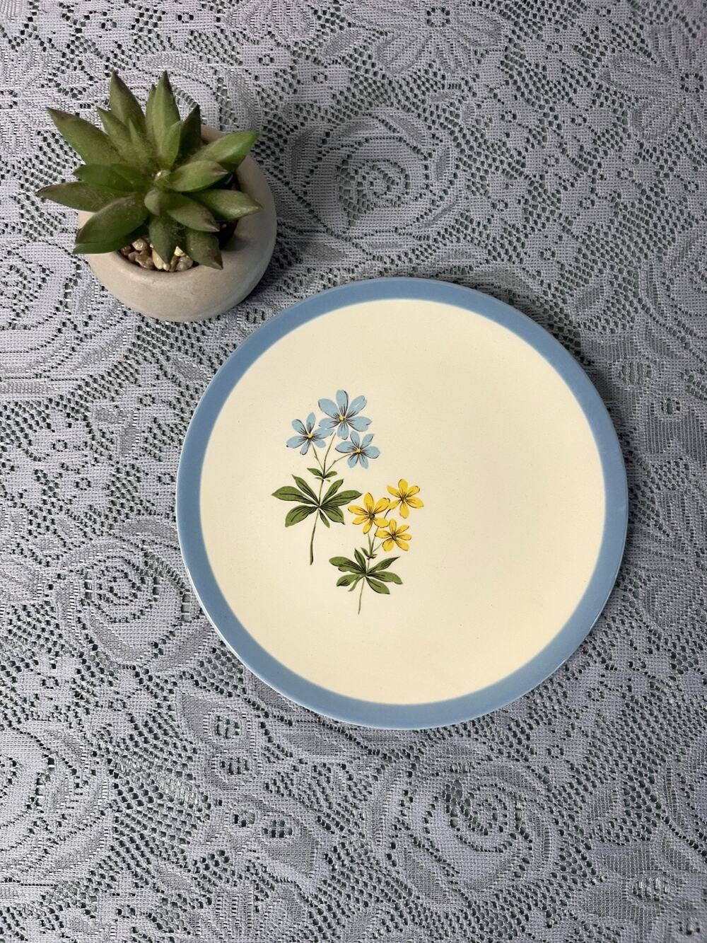 Homer Laughlin Color Harmony Dinner Plate Vintage American Pottery Vintage Homer